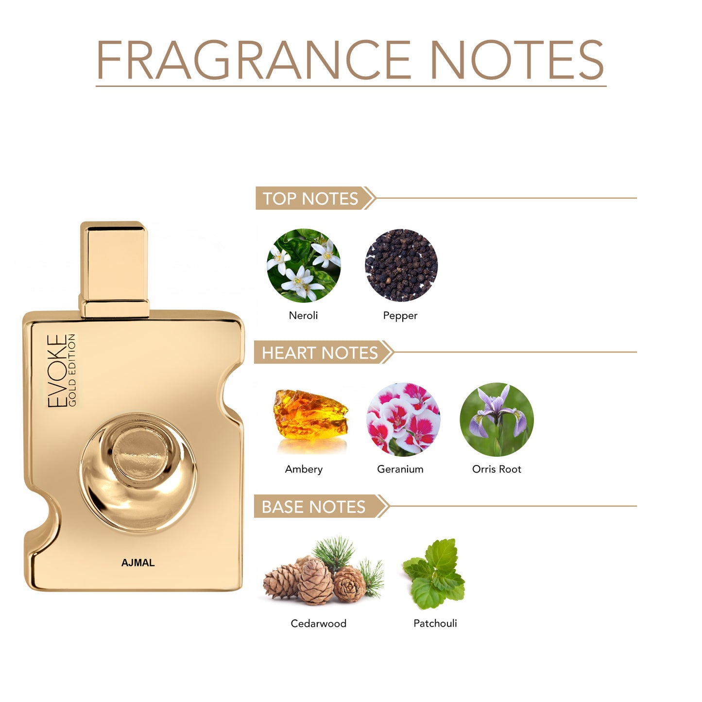 Evoke Gold for Men